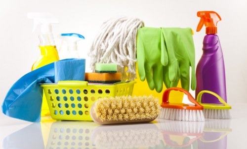 Carpet cleaning tools and a freshly cleaned living room carpet