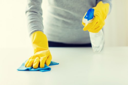 Stain removal treatment for a fabric sofa in Hampstead