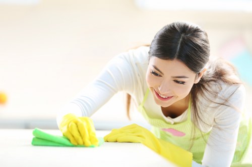 Professional curtain cleaning process