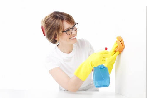 Steam or deep cleaning treatment for a bedroom mattress